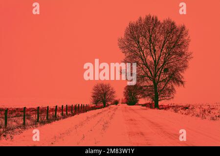 Schneebedeckte Landstraße bei Schneefall. Orangenfarben Stockfoto
