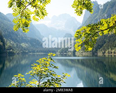 Ein malerischer Blick auf den Front-Gosau-See in der Nähe der Stadt Gosau, Österreich, mit Blättern im Vordergrund Stockfoto