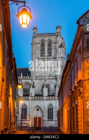 KATHEDRALE NOTRE DAME DE SAINT OMER, SAINT OMER, (62) PAS-DE-CALAIS, FRANKREICH Stockfoto