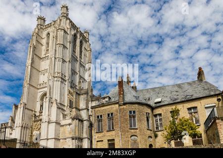 KATHEDRALE NOTRE DAME DE SAINT OMER, SAINT OMER, (62) PAS-DE-CALAIS, FRANKREICH Stockfoto