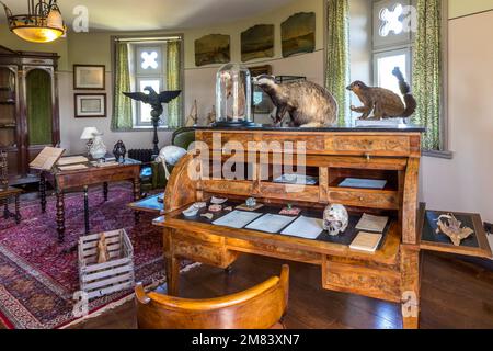 KABINETT DER KURIOSITÄTEN, CHATEAU D'HARDELOT, CONDETTE, (62) PAS-DE-CALAIS, FRANKREICH Stockfoto