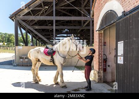 THE MAISON DU CHEVAL BOULONNAIS DEDICATED TO BOULONNAISE HORSES, FERME DE SUZE FARM, SAMER, (62) PAS-DE-CALAIS, FRANKREICH Stockfoto