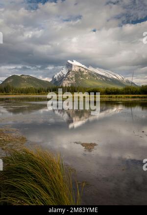 Der berühmte Mount Rundle spiegelt sich in den Vermilion Lakes wider. Banff. Kanadische Rocky Mountains. Vertikales Format. Stockfoto