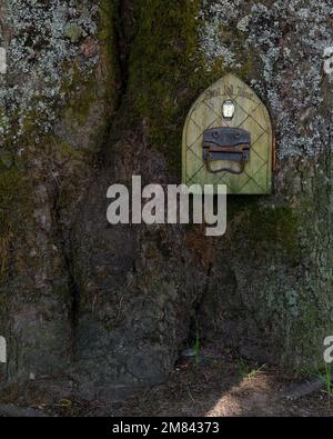 Eine mystische Tür ist im Stamm des Baumes, vielleicht ist sie für Feen oder Elfen. Stockfoto