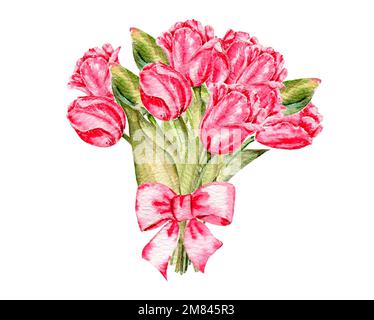 Aquarell Rosa Tulpe zum valentinstag. Handgezeichnete Blüten mit Aquarell auf einem weißen, isolierten Hintergrund. Stockfoto