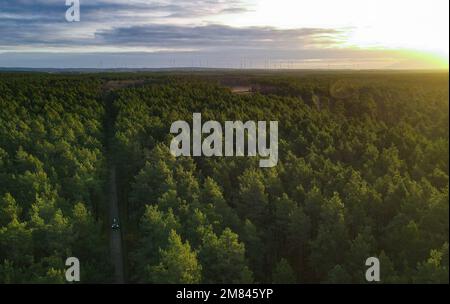 Jacobsdorf, Deutschland. 12. Januar 2023. Die Morgensonne scheint über einem Kiefernwald im Bezirk oder-Spree im östlichen Bundesstaat Brandenburg (Luftaufnahme mit der Drohne). Nirgendwo sonst in Deutschland gab es 2022 so viele Waldbrände wie in Brandenburg. Brandenburgs Ministerpräsident Woidke trifft sich mit Vertretern der deutschen Regierung, der Feuerwehr, der deutschen Streitkräfte und anderen Interessenträgern zu diesem Thema. Kredit: Patrick Pleul/dpa/Alamy Live News Stockfoto