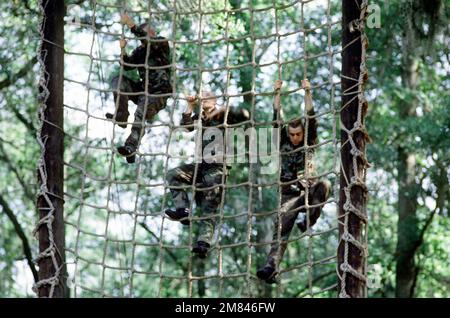 Rekruten klettern während der Grundausbildung im Rekrutierungslager des Marine Corps auf ein Frachtnetz. Basis: USMC Recruit Depot, Parris Island Bundesstaat: South Carolina (SC) Land: Vereinigte Staaten von Amerika (USA) Stockfoto