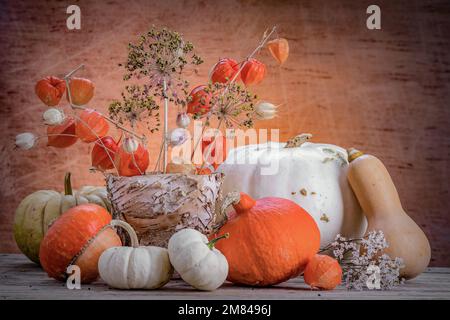 Stilleben verschiedener Kürbisse und trockener Blumen in einem Topf aus Baumrinde. Stockfoto