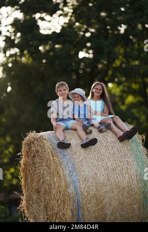 Kleine Kinder sitzen auf einer Heuschlange und lächeln Stockfoto