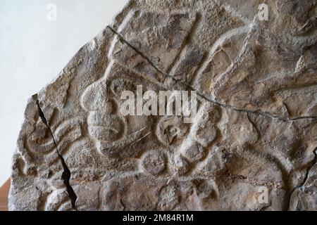 Prähispanischer Zapotekenstein, der einen A-Mann in Bas Relief schnitzt. Museum of Oaxacan Culture, Oaxaca, Mexiko. Stockfoto
