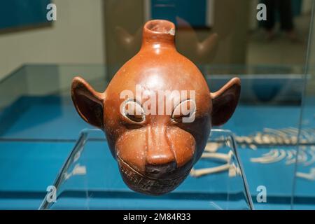 Prähispanischer Keramiktopf in Form eines Hundes im Museum of Oaxacan Culture, Oaxaca, Mexiko. Stockfoto