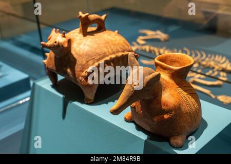 Prähispanische Keramiktöpfe in Tierform im Museum of Oaxacan Culture, Oaxaca, Mexiko. Rechts ist ein Tamandua oder Ameisenbär. Stockfoto