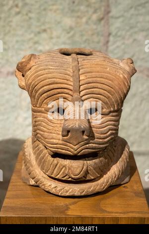Vorhispanische Keramik-Zapotec-Grabstätte/Weihrauch-Bräutigam eines Hundes im Museum of Oaxacan Culture, Oaxaca, Mexiko. Stockfoto