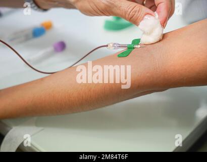 Nicht erkennbare Krankenschwester, die einem Patienten zu Hause Blut abnimmt. Blutspende Stockfoto