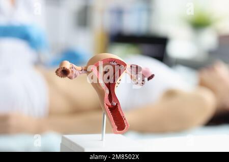 Empfang in der gynäkologischen Praxis und Ultraschall des weiblichen Uterus. Frauengesundheitskonzept Stockfoto