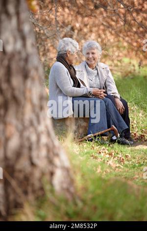 Ich genieße eine schöne Zeit zusammen. Zwei ältere Freunde, die etwas Zeit im Freien verbringen. Stockfoto