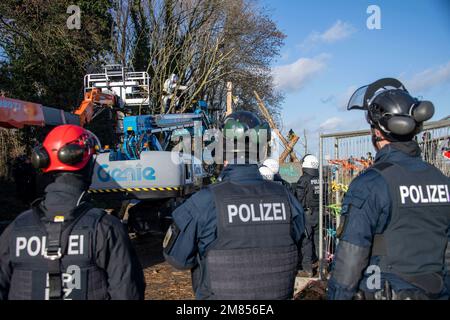 Garzweiler, Deutschland. 11. Januar 2023. Polizeibeamte nehmen einen Aktivisten mit einer Hebebühne aus einem Baum, die Polizei begann heute, das Dorf Luetzerath zu räumen, am 11. Januar 2023, das Dorf Luetzerath an der Westseite des Garzweiler-Braunkohlebergwerks wird im Januar 2023 ausgegraben, Luetzerath, 11. Januar 2023, Kredit: dpa/Alamy Live News Stockfoto