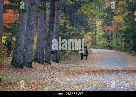 Copperfalls State Park in der Nähe von Mellen Wisconsin ist ein sehr beliebter State Park in Wisconsin, der viele Möglichkeiten zum Wandern und Fotografieren bietet Stockfoto