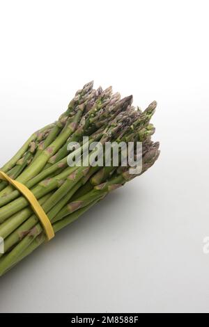 Bild eines Straußes grünen Spargels, gebunden mit einem Gummiband auf einem neutralweißen Hintergrund Stockfoto