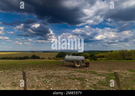 Lone Tree entlang der Straße D90 [Route Departementale 90] von Lorquin nach Hattigny Grand Est im Nordosten Frankreichs. Stockfoto