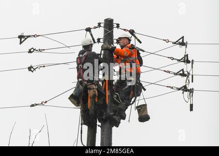 Bridport, Dorset, Großbritannien. 12. Januar 2023 Wetter in Großbritannien. WESTERN Power-Arbeiter, die an einem nassen und windigen Tag einen neuen Telegrafenmast in Bridport in Dorset installieren, werden von dem starken Regen durchnässt. Bildnachweis: Graham Hunt/Alamy Live News Stockfoto