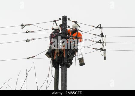 Bridport, Dorset, Großbritannien. 12. Januar 2023 Wetter in Großbritannien. WESTERN Power-Arbeiter, die an einem nassen und windigen Tag einen neuen Telegrafenmast in Bridport in Dorset installieren, werden von dem starken Regen durchnässt. Bildnachweis: Graham Hunt/Alamy Live News Stockfoto