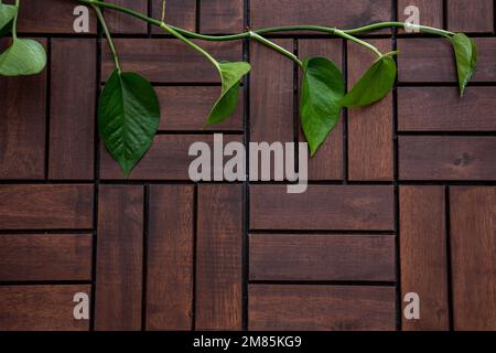 Holzdielen oder -Böden im Freien mit grünem Pflanzenhintergrund. Hintergrundkonzept. Ansicht von oben, flach liegend, Kopierbereich. Stockfoto