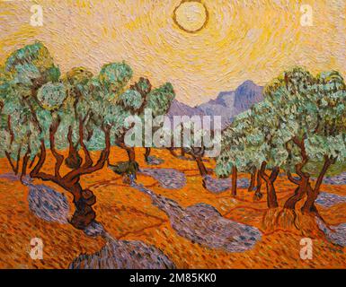 Olivenbäume. Schönes Ölgemälde auf Leinwand. Basierend auf dem großen Gemälde von Van Gogh. Pinselstriche und Leinentexturen Stockfoto