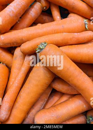 Viele Karotten, Draufsicht. Vorteile von Karotten, gewaschenen Karotten, Vitamin A. Stockfoto