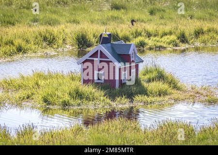 Entenhaus am See, Sortland, Vesteralen, Nordland, Norwegen Stockfoto