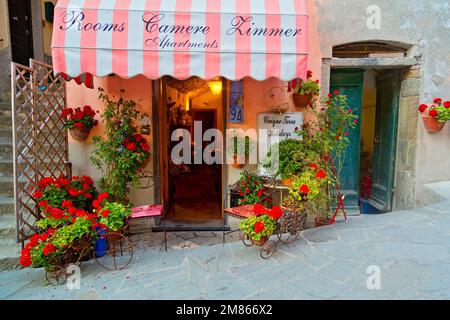 Detail der Dorf Riomaggiore Cinque Terre, Italien Stockfoto