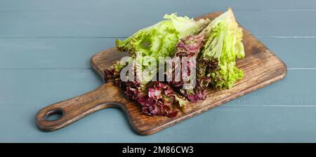 Gehen Sie mit frischem Lollo Rosso-Salat auf grauem Holzhintergrund an Bord Stockfoto