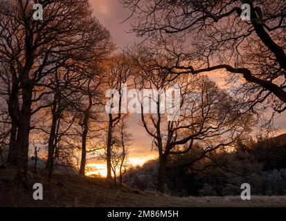 Gefrorener Sonnenaufgang im Winter am Fluss Brathay zwischen Skelwith Bridge und Elterwater im Lake District, Cumbria England, Großbritannien Stockfoto