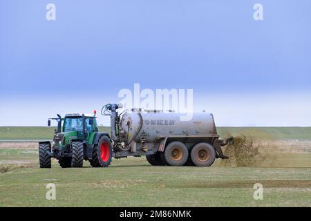 Landwirt im Fendt 818 Schlepper mit Drückstreuer verteilt/verteilt Flüssigdünger als Dünger im Frühjahr über das Feld Stockfoto