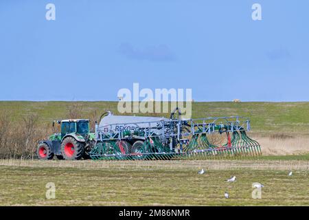 Landwirt in einem Traktor mit Streuverteiler, der im Frühjahr Flüssigdünger als Dünger über das Feld verteilt Stockfoto