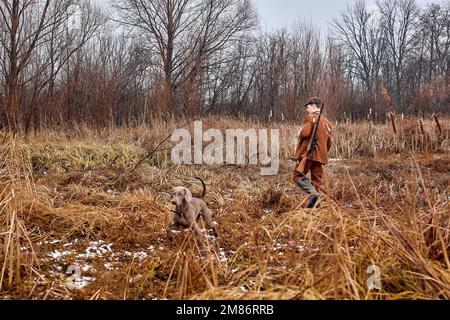 Aufmerksamer Weimaraner Hund läuft auf Herbstwiese mit Jäger Mann Besitzer wartet auf Signal oder Belohnung, auf dem Land. Aktive stark grauen Hund Jagd o Stockfoto