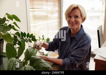 Glückliche reife Frau, die sich zu Hause um Zimmerpflanzen kümmert und sie tränkt. Hausarbeit- und Pflanzenpflegekonzept Stockfoto