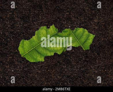 Eine 3D-Darstellung einer slowakischen Karte aus grünen Blättern auf Bodenhintergrund - Konzept der Ökologie Stockfoto