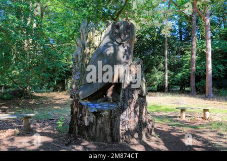 Der Baum des Lebens Skulptur, sandige Heide, Sandy, Bedfordshire, England Stockfoto