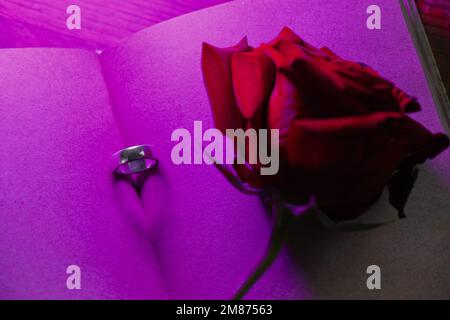 Ehering in einem offenen Buch mit leeren Seiten und herzförmigem Schatten. Pinkfarbenes Neonlicht beleuchtet Seiten. Einsatzvorschlag. Konzept des Valentinstages Stockfoto