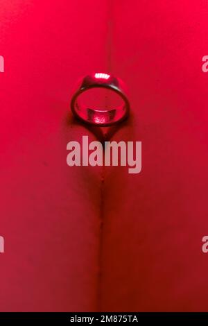 Ehering in einem offenen Buch mit leeren Seiten und herzförmigem Schatten. Rotes Neonlicht beleuchtet Seiten. Einsatzvorschlag. Konzept des Valentinstages. Stockfoto