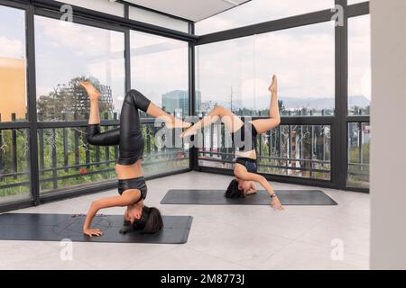 Ein paar junge Frauen, die Yoga machen, posieren zusammen vor Studiofenstern. Yoga-Posen für Fortgeschrittene. Stockfoto