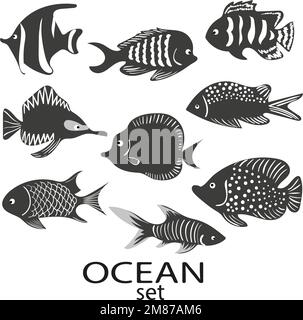 Fischsilhouetten. Sammlung schwarzer und weißer Seefische, isoliert auf weißem Hintergrund. Vektordarstellung. Stock Vektor