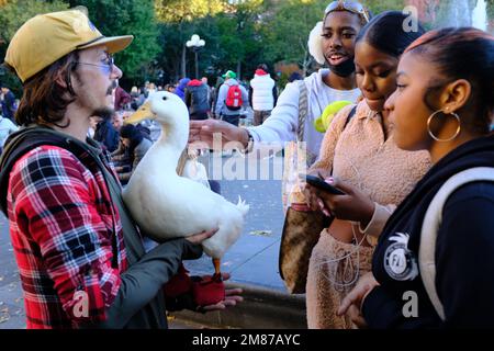 Ein weißer Mann, der seine Ente vor afroamerikanischen Jugendlichen im Washington Square Park zeigt.Greenwich Village.Manhattan.New York City.USA Stockfoto