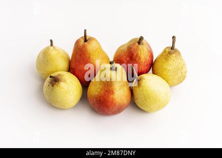 Ein paar reife Birnen der Saison verschiedener Arten auf weißem Hintergrund Stockfoto