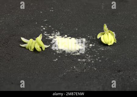 Cannabisblüten und Pollen aus Cannabisblüten. Extreme Nahaufnahme, Seitenansicht isoliert auf Schwarz. Hochauflösendes Foto. Volle Schärfentiefe. Stockfoto