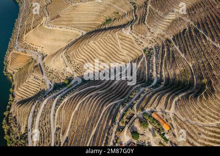 Blick aus der Vogelperspektive auf das Douro-Tal. Terrassenförmige Weinberge und Landschaft in der Nähe von Pinhao, Portugal. Portugiesische Weinregion. Wunderschöne Herbstlandschaft. Stockfoto