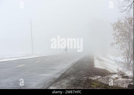 Ein Mann, der mit seinem Hund spaziert, verschwindet in dickem Nebel. Stockfoto