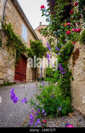 Blumige Straße des kleinen Dorfes Lavardens im Süden Frankreichs (Gers) Stockfoto