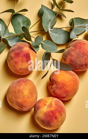 Pfirsich-Kollektion. Leckere Honigfrucht mit Blatt isoliert auf gelbem Wandhintergrund. Obst-Konzept. Flach legen, Kopierraum Stockfoto